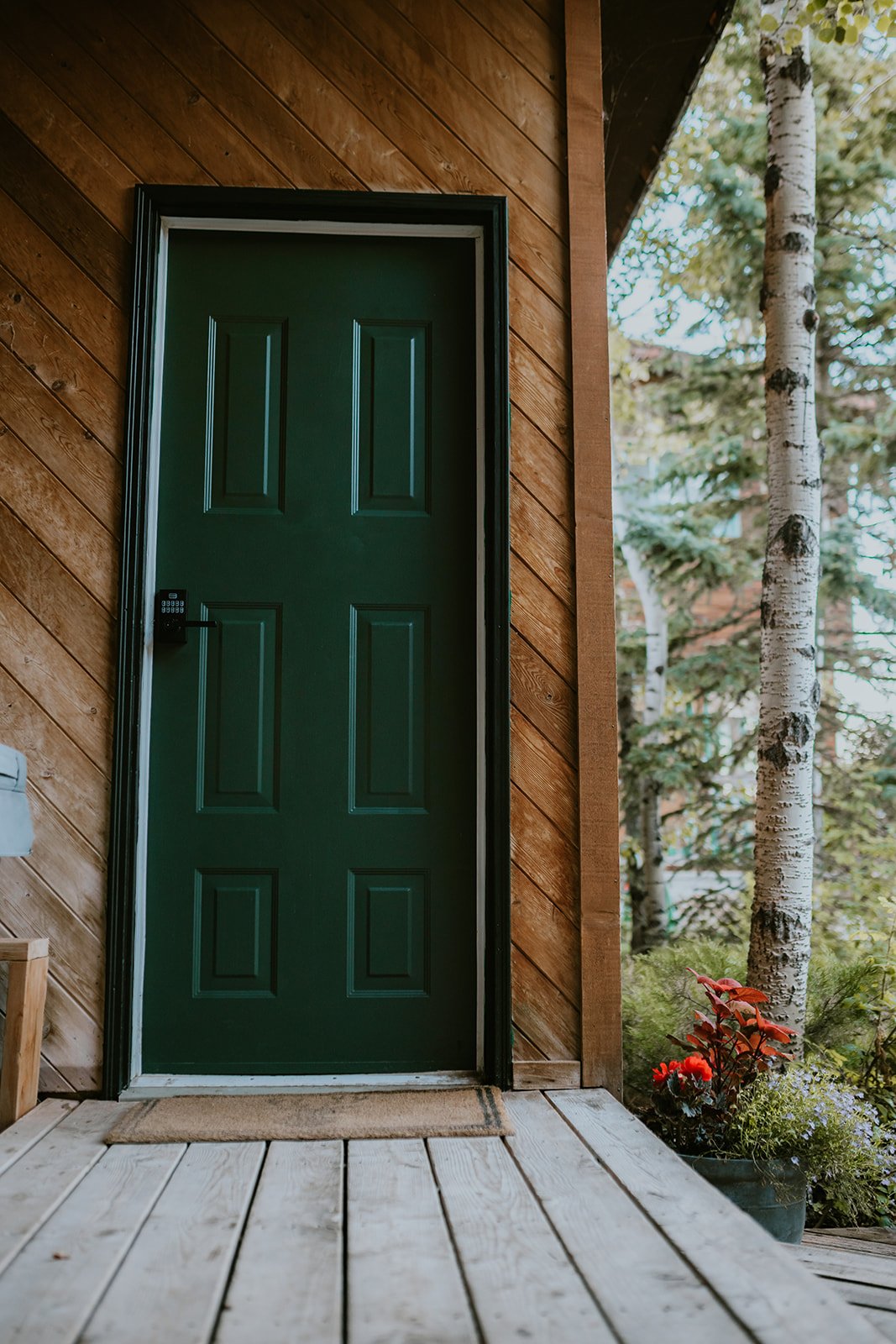 Stepping Stone Cabins
